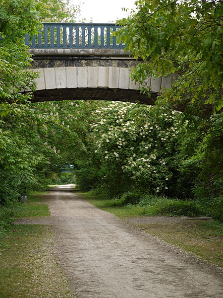 The Chemin des Roses