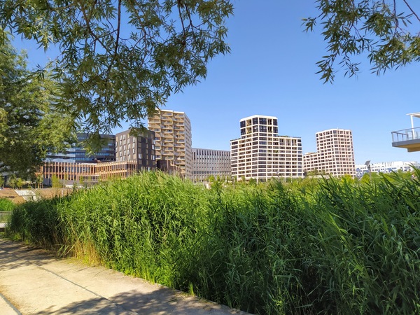 The Parc Clichy-Batignolles – Martin-Luther-King